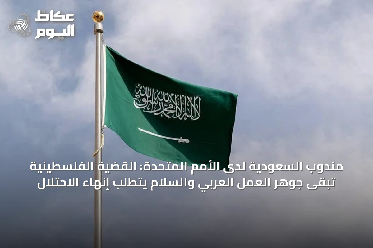 مندوب السعودية لدى الأمم المتحدة: القضية الفلسطينية تبقى جوهر العمل العربي والسلام يتطلب إنهاء الاحتلال