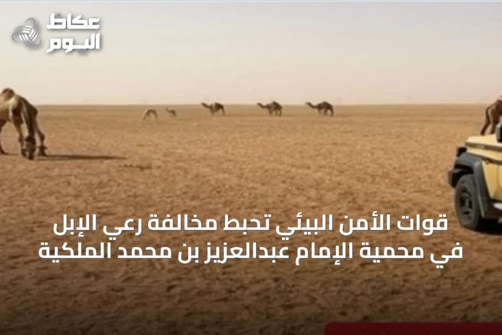 قوات الأمن البيئي تُحبط مخالفة رعي الإبل في محمية الإمام عبدالعزيز بن محمد الملكية