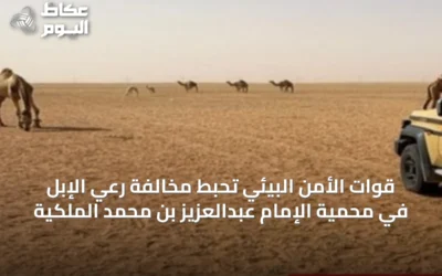 قوات الأمن البيئي تُحبط مخالفة رعي الإبل في محمية الإمام عبدالعزيز بن محمد الملكية