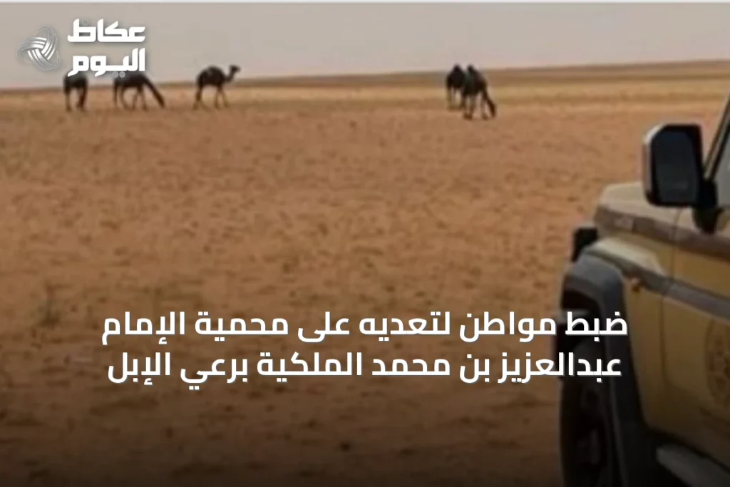 ضبط مواطن لتعديه على محمية الإمام عبدالعزيز بن محمد الملكية برعي الإبل