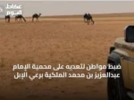 ضبط مواطن لتعديه على محمية الإمام عبدالعزيز بن محمد الملكية برعي الإبل