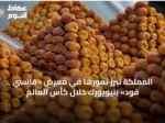 المملكة تُبرز تمورها في معرض «فانسي فود» بنيويورك خلال كأس العالم