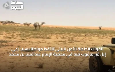 القوات الخاصة للأمن البيئي تلتقط مواطنًا بسبب رعي إبل غير مرغوب فيه في محمية الإمام عبدالعزيز بن محمد