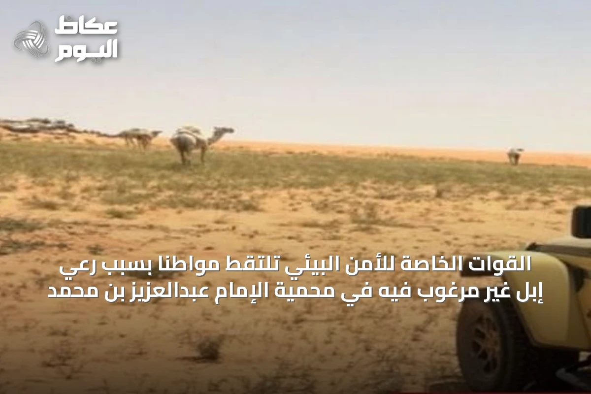 القوات الخاصة للأمن البيئي تلتقط مواطنًا بسبب رعي إبل غير مرغوب فيه في محمية الإمام عبدالعزيز بن محمد