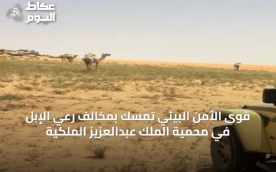 قوى الأمن البيئي تمسّك بمخالف رعي الإبل في محمية الملك عبدالعزيز الملكية