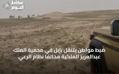 ضبط مواطن يتنقّل بإبل في محمية الملك عبدالعزيز الملكية مخالفاً نظام الرعي