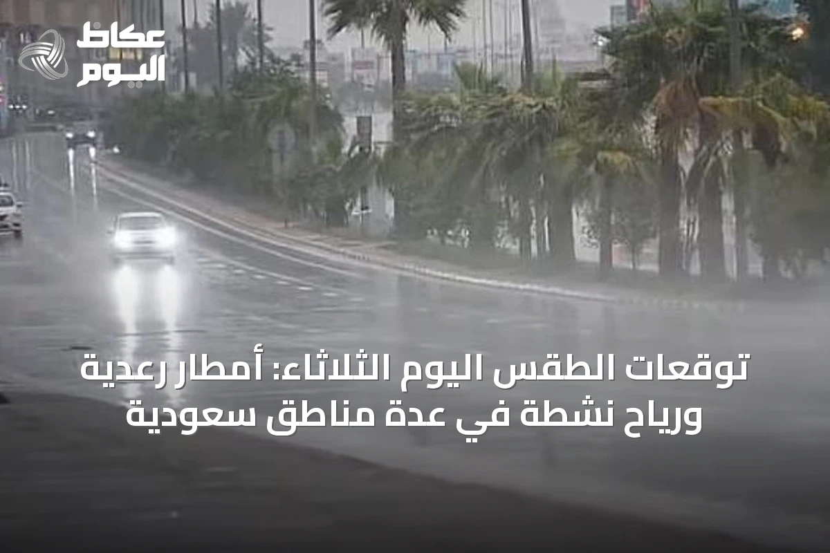 توقعات الطقس اليوم الثلاثاء: أمطار رعدية ورياح نشطة في عدة مناطق سعودية