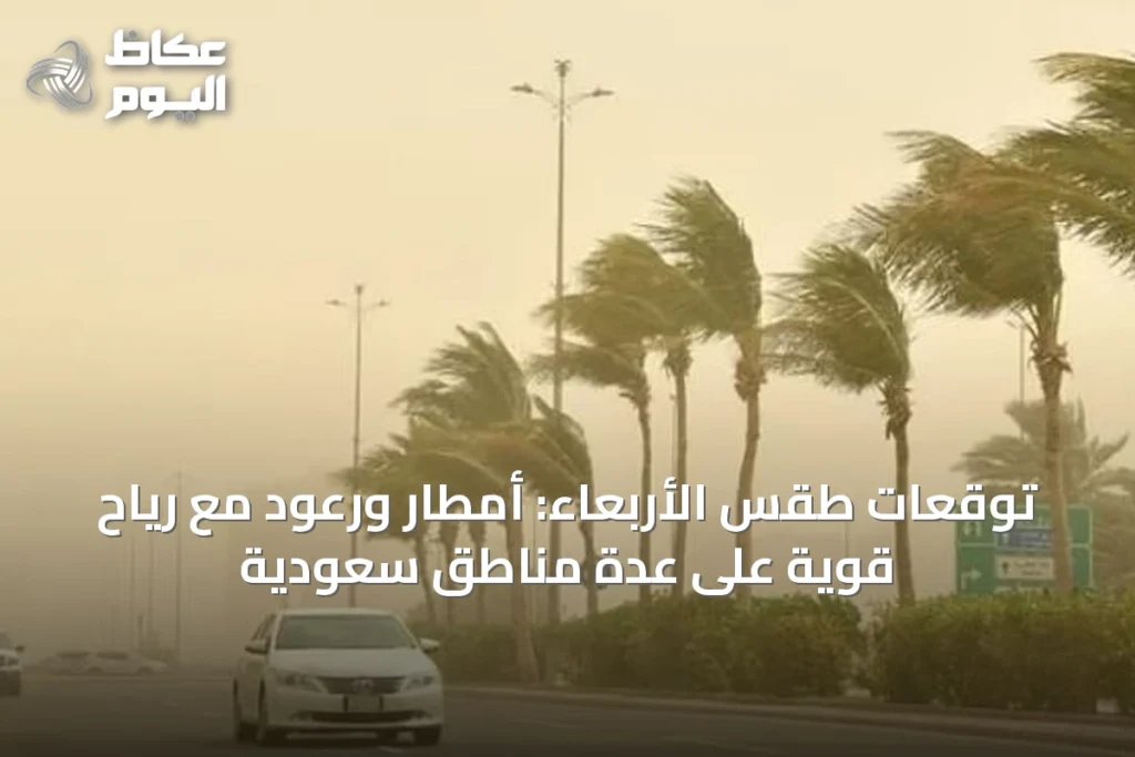 توقعات طقس الأربعاء: أمطار ورعود مع رياح قوية على عدة مناطق سعودية