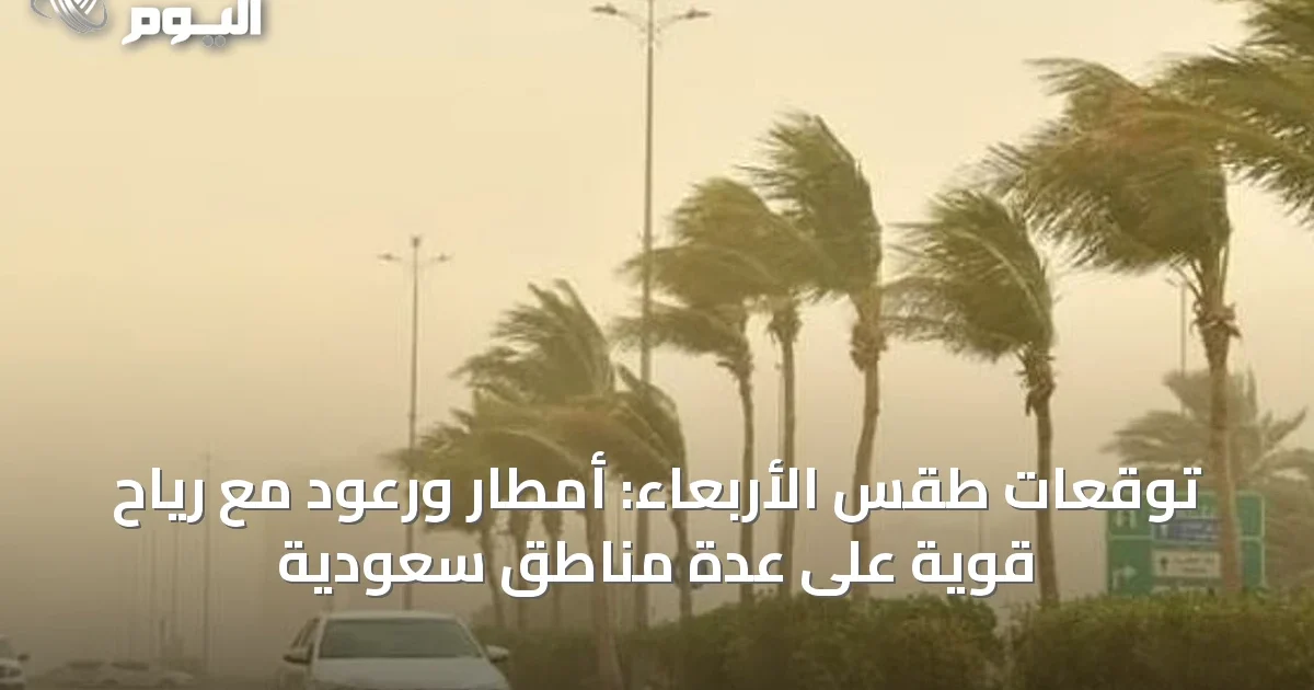 توقعات طقس الأربعاء: أمطار ورعود مع رياح قوية على عدة مناطق سعودية