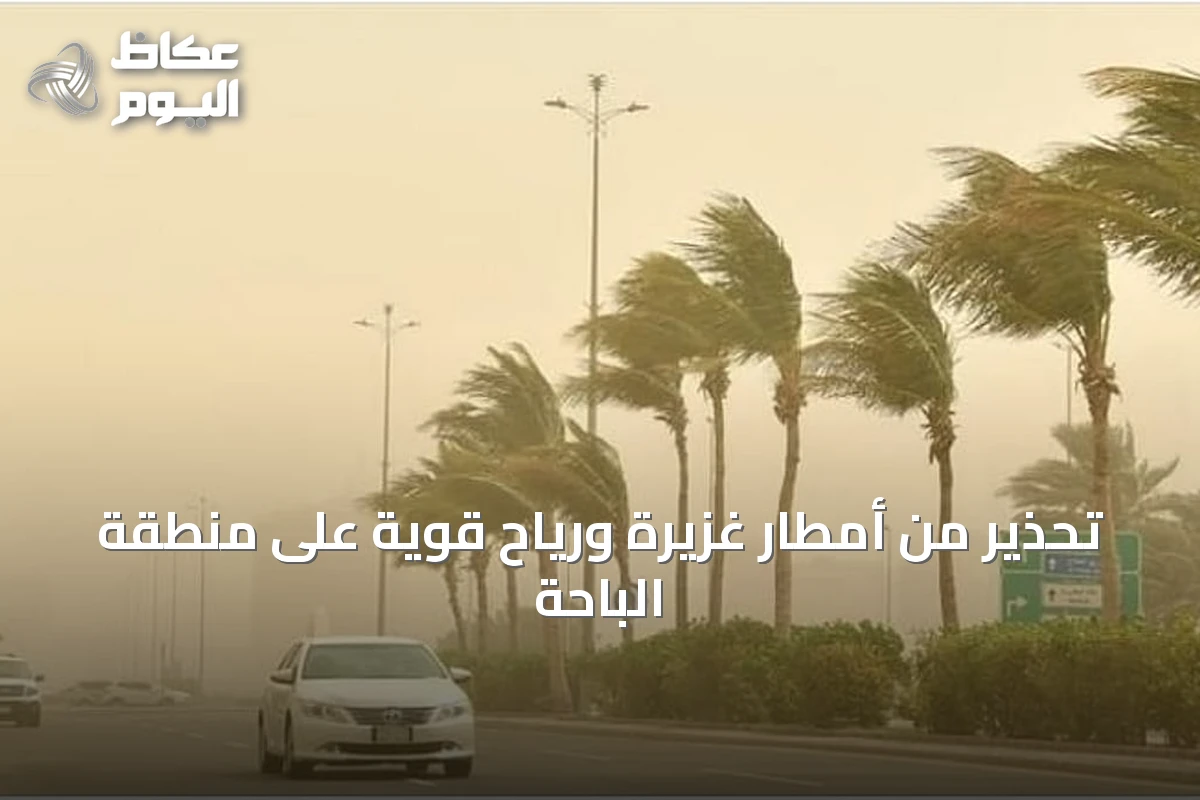تحذير من أمطار غزيرة ورياح قوية على منطقة الباحة