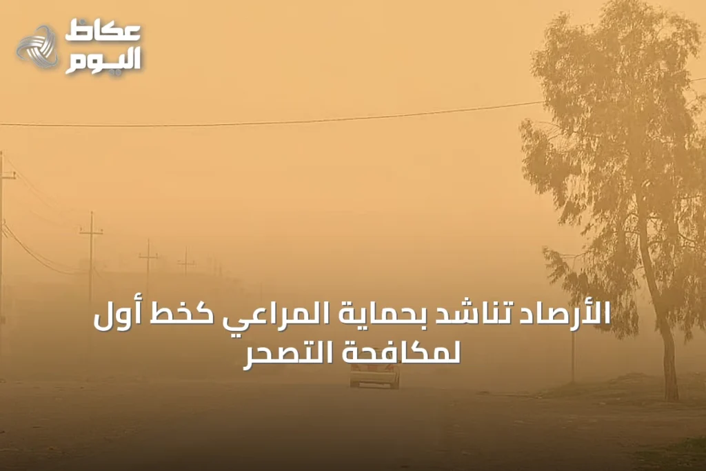الأرصاد تناشد بحماية المراعي كخط أول لمكافحة التصحر