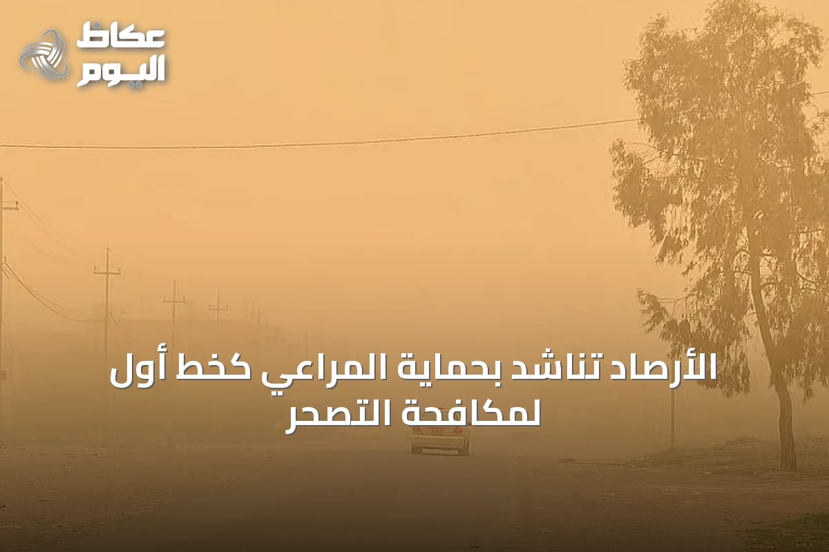 الأرصاد تناشد بحماية المراعي كخط أول لمكافحة التصحر