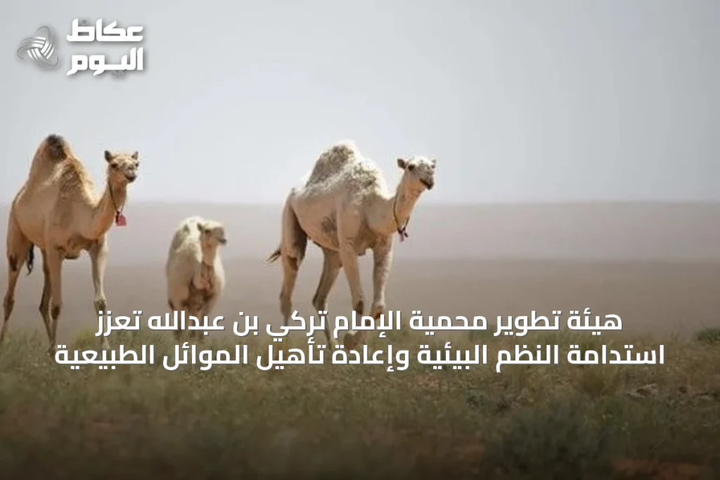 هيئة تطوير محمية الإمام تركي بن عبدالله تعزز استدامة النظم البيئية وإعادة تأهيل الموائل الطبيعية
