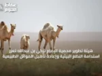 هيئة تطوير محمية الإمام تركي بن عبدالله تعزز استدامة النظم البيئية وإعادة تأهيل الموائل الطبيعية