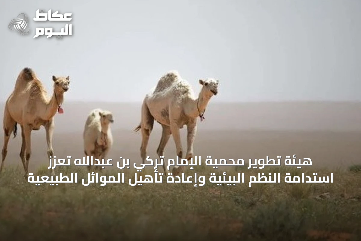 هيئة تطوير محمية الإمام تركي بن عبدالله تعزز استدامة النظم البيئية وإعادة تأهيل الموائل الطبيعية