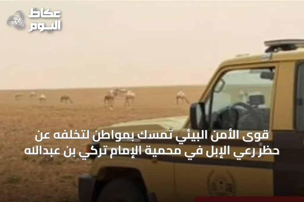 قوى الأمن البيئي تمسّك بمواطن لتخلفه عن حظر رعي الإبل في محمية الإمام تركي بن عبدالله