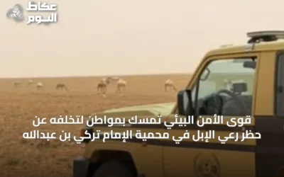 قوى الأمن البيئي تمسّك بمواطن لتخلفه عن حظر رعي الإبل في محمية الإمام تركي بن عبدالله