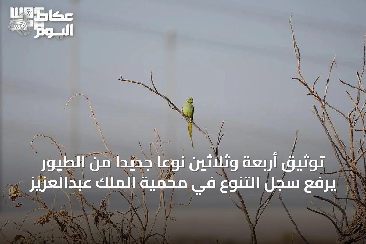 توثيق أربعة وثلاثين نوعًا جديدًا من الطيور يرفع سجل التنوع في محمية الملك عبدالعزيز