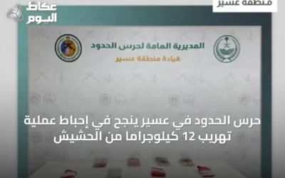 حرس الحدود في عسير ينجح في إحباط عملية تهريب 12 كيلوجرامًا من الحشيش