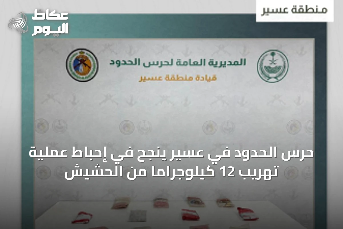 حرس الحدود في عسير ينجح في إحباط عملية تهريب 12 كيلوجرامًا من الحشيش