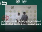 السلطات في نجران تعتقل مقيمين سودانيين لترويج الحشيش وأدوية خاضعة للرقابة الطبية