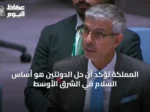 المملكة تؤكد أن حل الدولتين هو أساس السلام في الشرق الأوسط