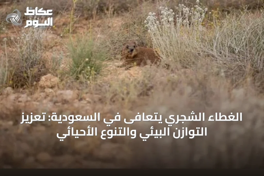 الغطاء الشجري يتعافى في السعودية: تعزيز التوازن البيئي والتنوع الأحيائي
