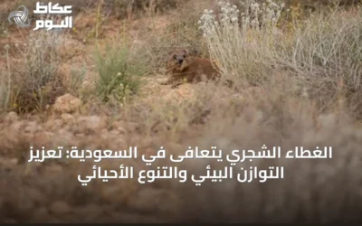 الغطاء الشجري يتعافى في السعودية: تعزيز التوازن البيئي والتنوع الأحيائي