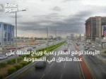 الأرصاد توقع أمطار رعدية ورياح نشطة على عدة مناطق في السعودية
