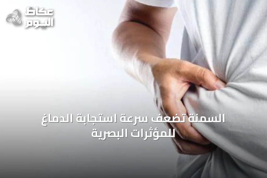 السمنة تُضعف سرعة استجابة الدماغ للمؤثرات البصرية