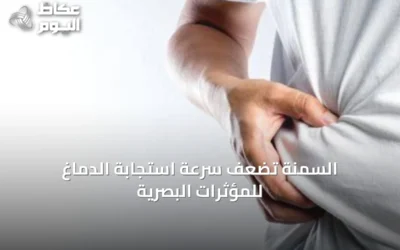 السمنة تُضعف سرعة استجابة الدماغ للمؤثرات البصرية