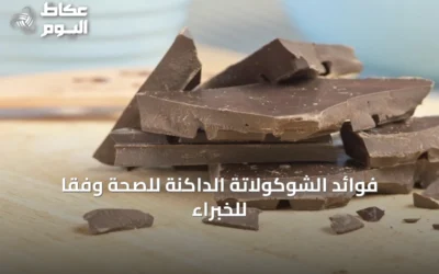 فوائد الشوكولاتة الداكنة للصحة وفقًا للخبراء