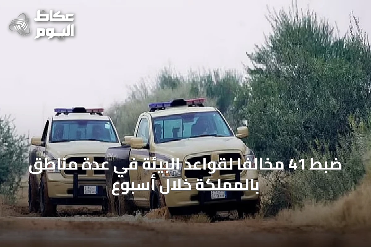 ضبط 41 مخالفًا لقواعد البيئة في عدة مناطق بالمملكة خلال أسبوع