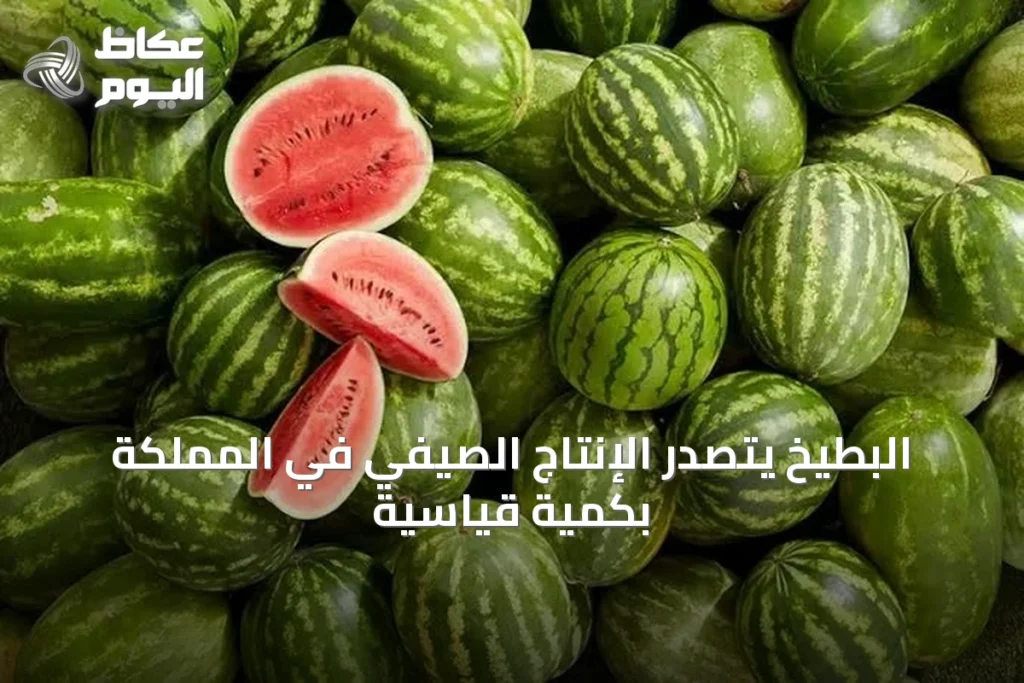 البطيخ يتصدر الإنتاج الصيفي في المملكة بكمية قياسية
