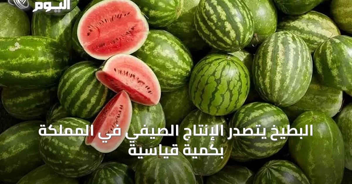 البطيخ يتصدر الإنتاج الصيفي في المملكة بكمية قياسية