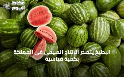 البطيخ يتصدر الإنتاج الصيفي في المملكة بكمية قياسية