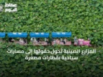 المزارع الصينية تحول حقولها إلى مسارات سياحية بقطارات مصغرة