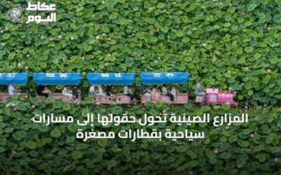 المزارع الصينية تحول حقولها إلى مسارات سياحية بقطارات مصغرة