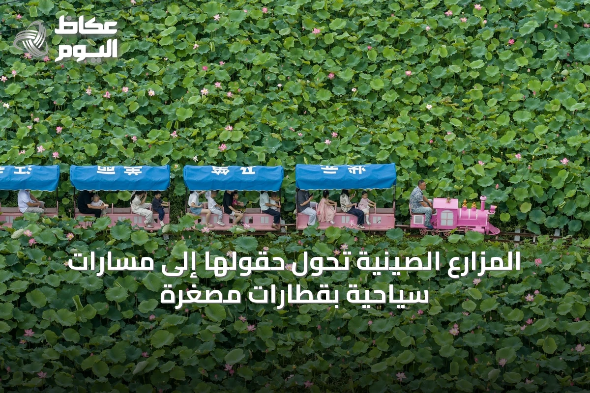 المزارع الصينية تحول حقولها إلى مسارات سياحية بقطارات مصغرة