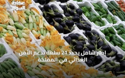 إطار شامل يحدد 21 سلعة تدعم الأمن الغذائي في المملكة