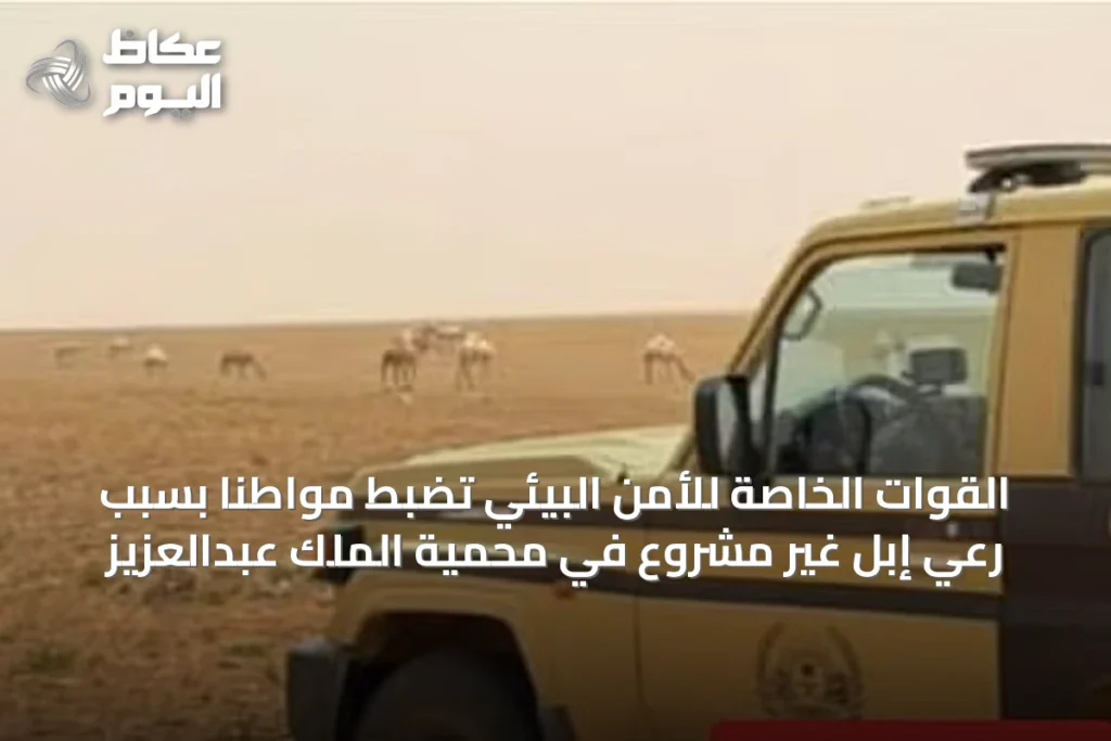 القوات الخاصة للأمن البيئي تضبط مواطنًا بسبب رعي إبل غير مشروع في محمية الملك عبدالعزيز