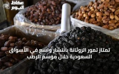 تمتاز تمور الروثانة بانتشار واسع في الأسواق السعودية خلال موسم الرطب