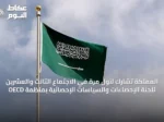 المملكة تشارك لأول مرة في الاجتماع الثالث والعشرين للجنة الإحصاءات والسياسات الإحصائية بمنظمة OECD