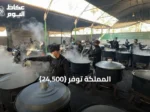 المملكة توفّر {24,500}