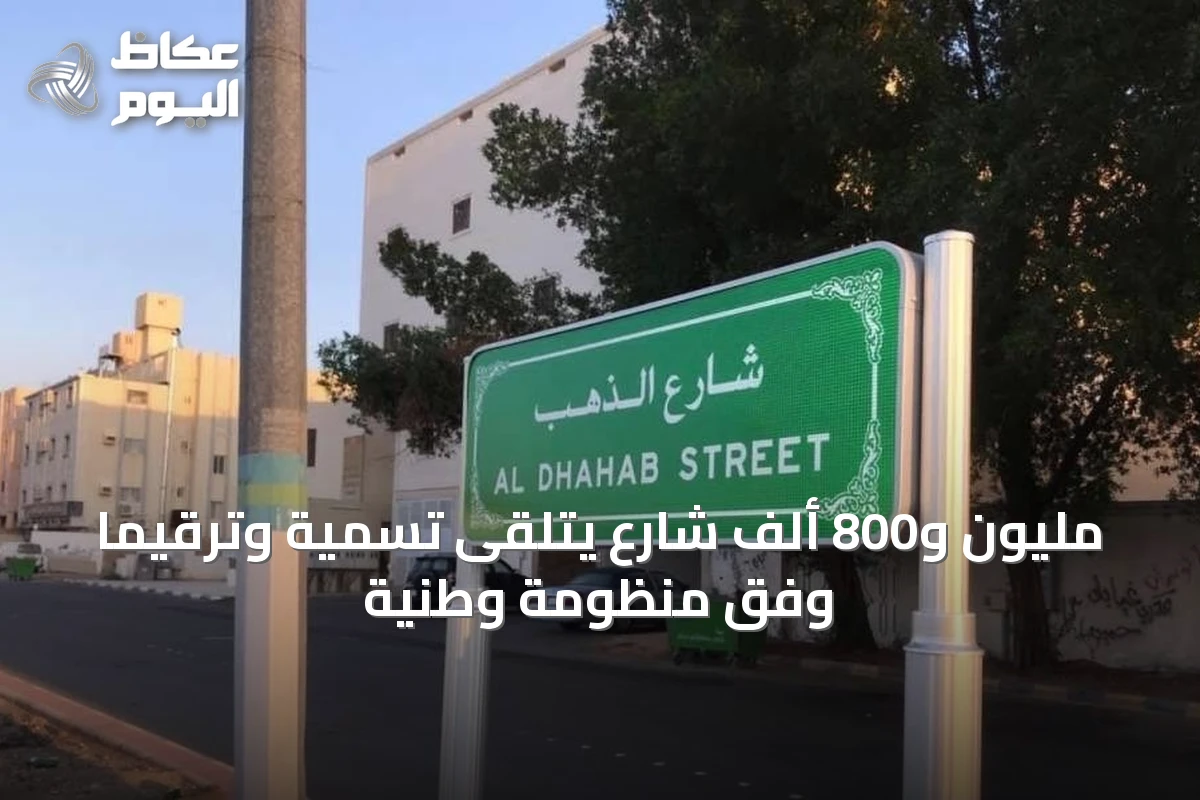 مليون و800 ألف شارع يتلقى تسمية وترقيمًا وفق منظومة وطنية