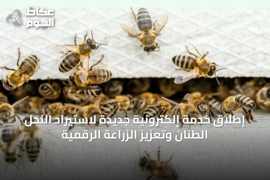إطلاق خدمة إلكترونية جديدة لاستيراد النحل الطنان وتعزيز الزراعة الرقمية