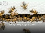 إطلاق خدمة إلكترونية جديدة لاستيراد النحل الطنان وتعزيز الزراعة الرقمية