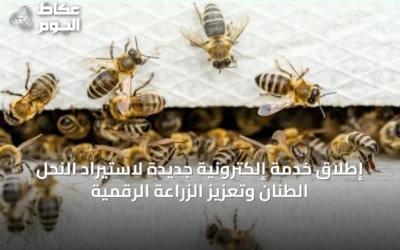 إطلاق خدمة إلكترونية جديدة لاستيراد النحل الطنان وتعزيز الزراعة الرقمية