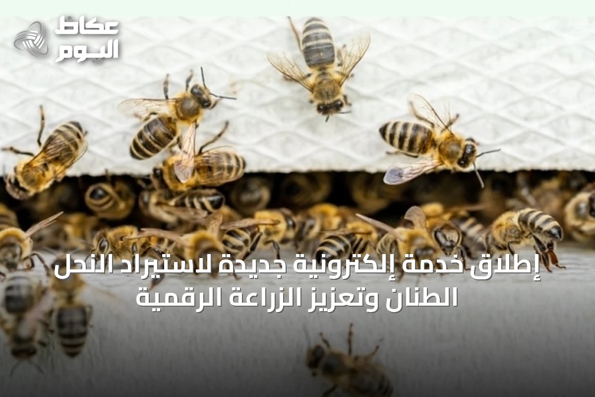 إطلاق خدمة إلكترونية جديدة لاستيراد النحل الطنان وتعزيز الزراعة الرقمية