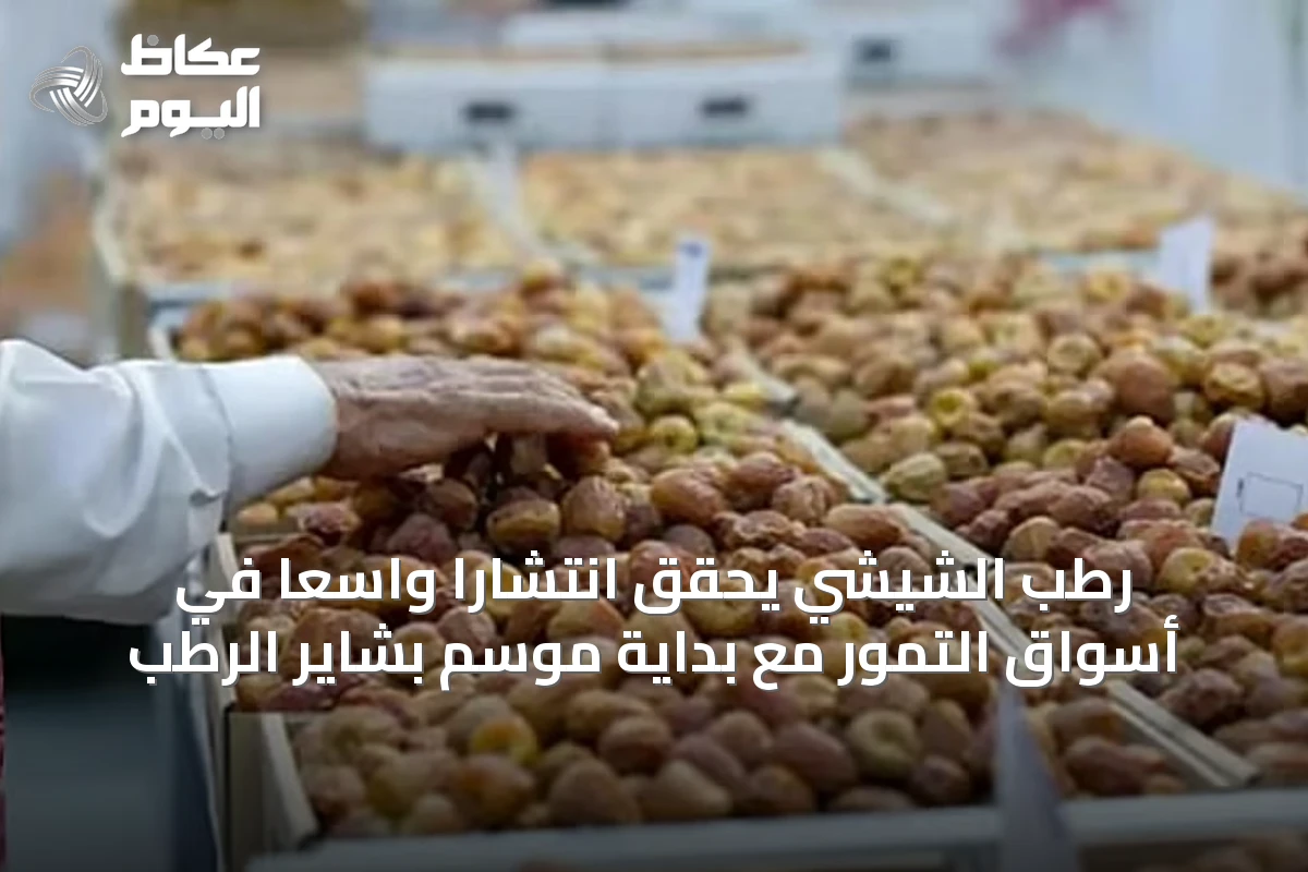 رطب الشيشي يحقق انتشارًا واسعًا في أسواق التمور مع بداية موسم بشاير الرطب